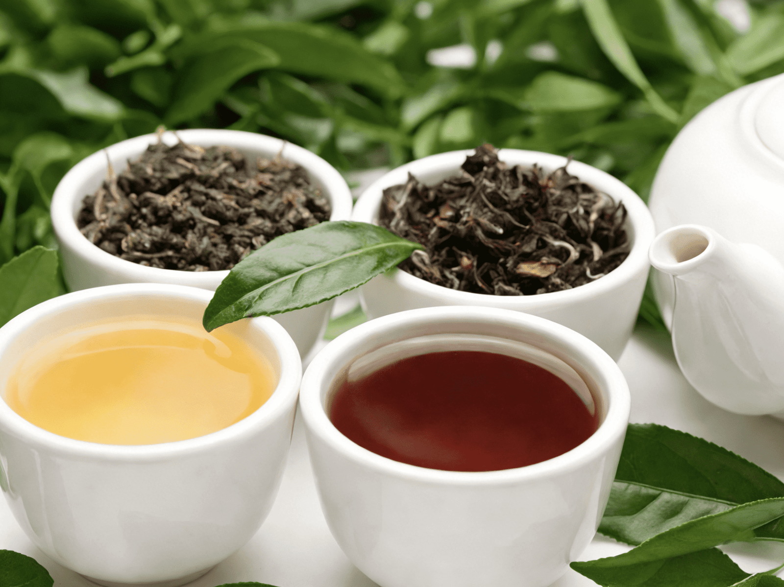 Does Black or Green Tea Have More Caffeine?