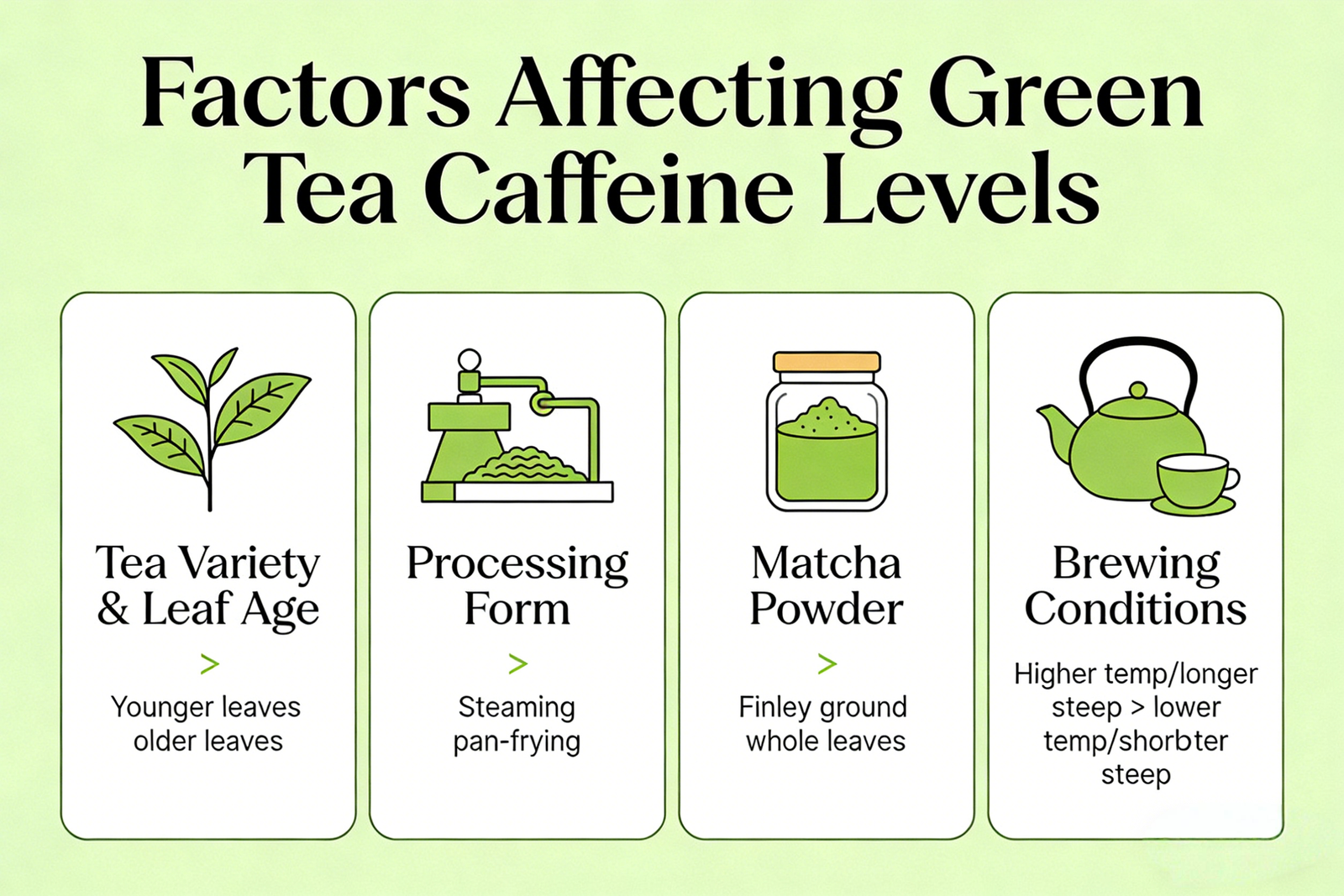 Does Green Tea Have Caffeine？How Much Caffeine Is in Green Tea3