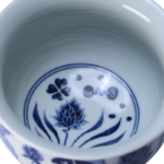 Fish and Aquatic Pattern Blue and White Gaiwan_Main04