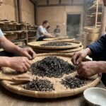 Bai Hao Oolong Tea