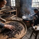 Da Hung Pao Oolong Tea