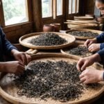 Aged Puer Tea