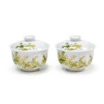 Sword Kiln Ceramic Gaiwan Floral Fruit Famille Rose for Gongfu Tea